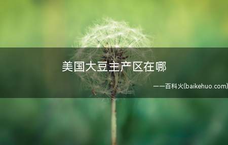 美国大豆主产区在哪