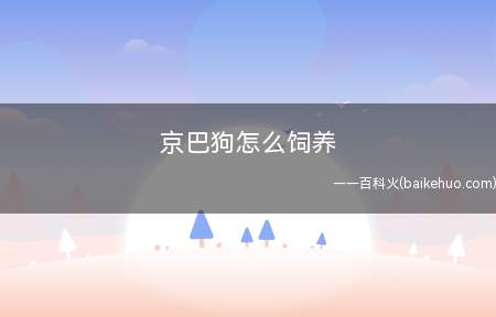 京巴狗怎么饲养