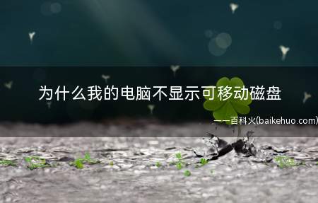 为什么我的电脑不显示可移动磁盘
