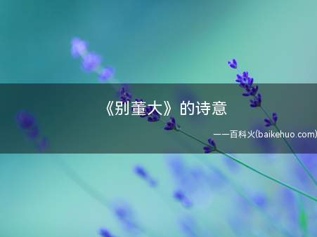 《别董大》的诗意