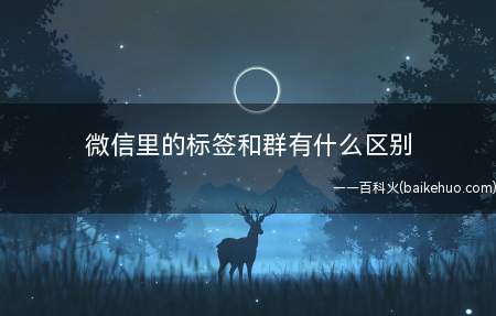 微信里的标签和群有什么区别