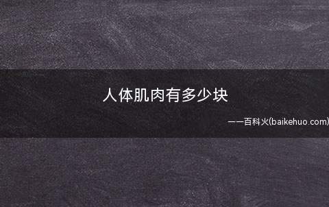 人体肌肉有多少块