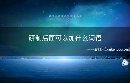 研制后面可以加什么词语