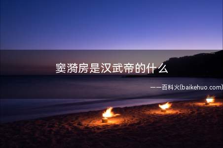 窦漪房是汉武帝的什么