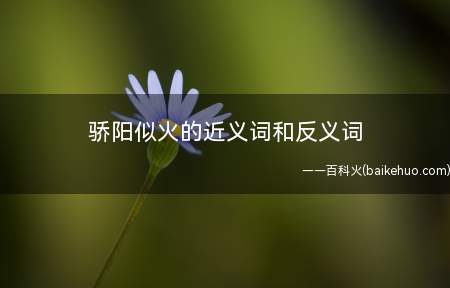 骄阳似火的近义词和反义词