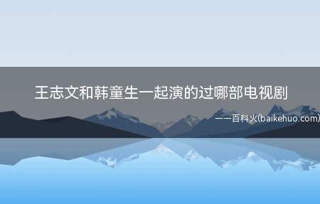 王志文和韩童生一起演的过哪部电视剧