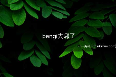 bengi去哪了