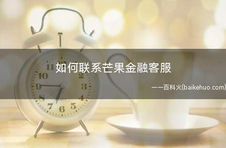 如何联系芒果金融客服