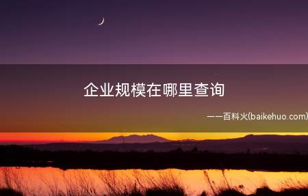 企业规模在哪里查询