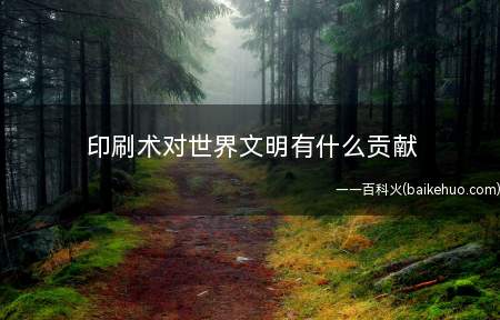 印刷术对世界文明有什么贡献