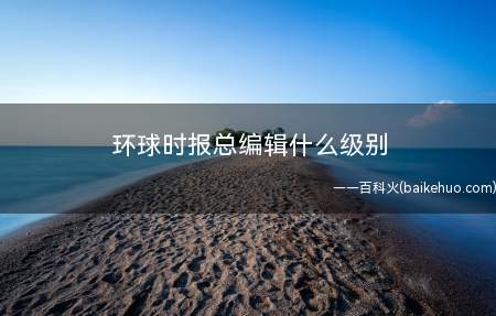 环球时报总编辑什么级别