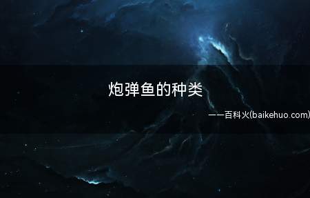 炮弹鱼的种类