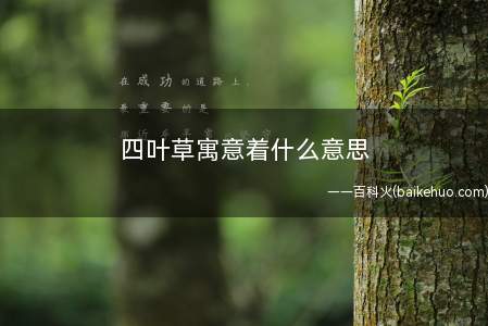 四叶草寓意着什么意思