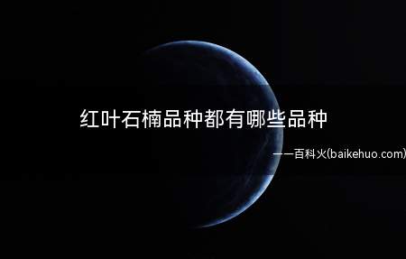 红叶石楠品种都有哪些品种