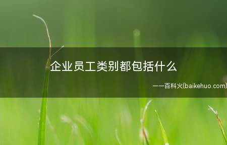 企业员工类别都包括什么