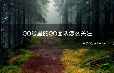 QQ号里的QQ团队怎么关注