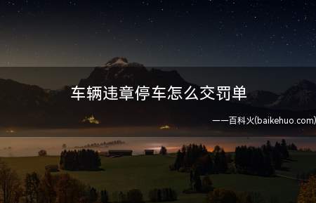 车辆违章停车怎么交罚单