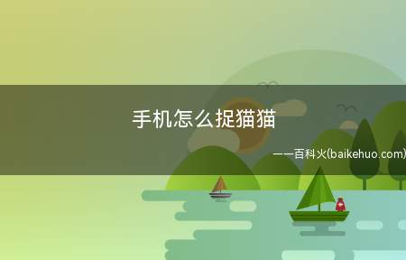 手机怎么捉猫猫