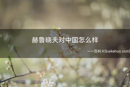 赫鲁晓夫对中国怎么样