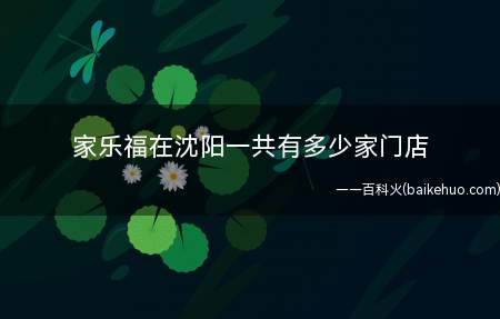 家乐福在沈阳一共有多少家门店
