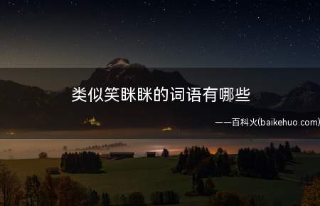 类似笑眯眯的词语有哪些