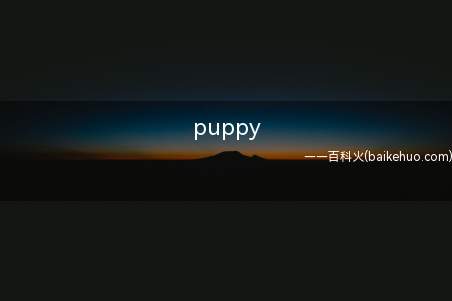 puppy是什么意思