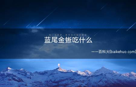 蓝尾金蜥吃什么