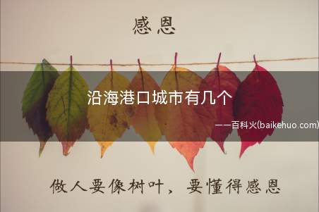 沿海港口城市有几个