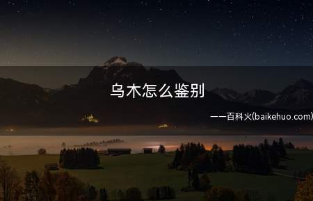 乌木怎么鉴别