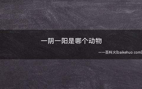 一阴一阳是哪个动物