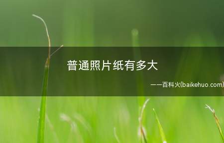 普通照片纸有多大