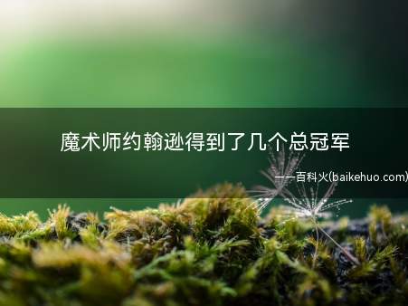 魔术师约翰逊得到了几个总冠军