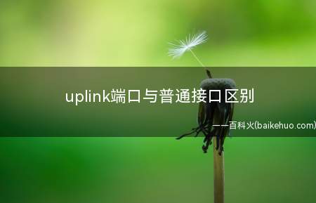 uplink端口与普通接口区别