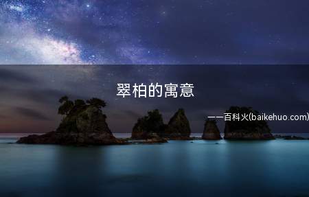 翠柏的寓意
