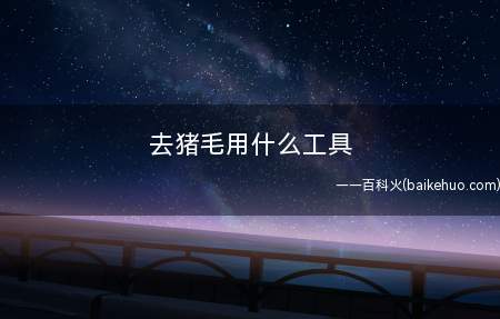 去猪毛用什么工具