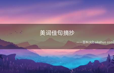 美词佳句摘抄