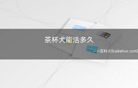 茶杯犬能活多久