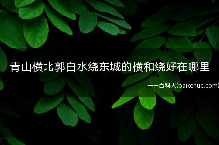 青山横北郭白水绕东城的横和绕好在哪里