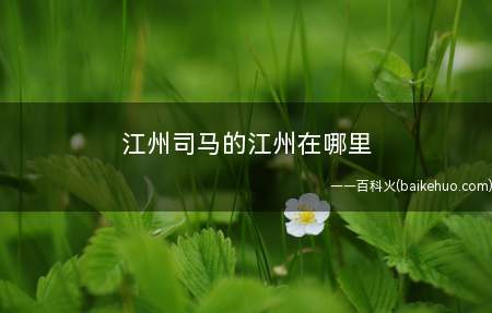 江州司马的江州在哪里