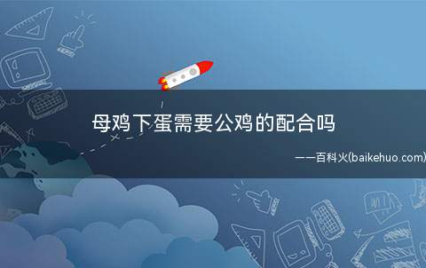 母鸡下蛋需要公鸡的配合吗