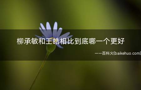 柳承敏和王皓相比到底哪一个更好