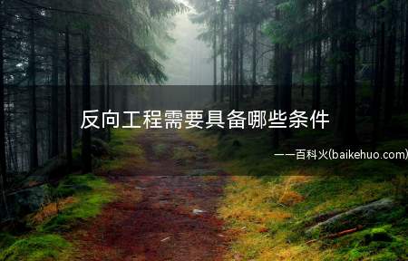 反向工程需要具备哪些条件