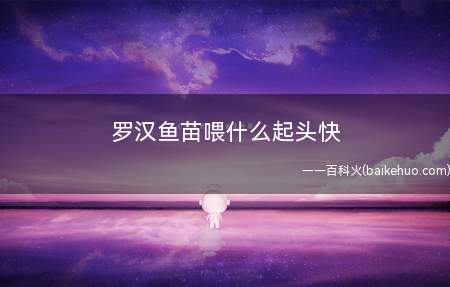 罗汉鱼苗喂什么起头快