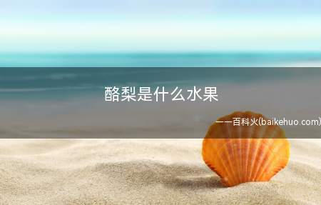 酪梨是什么水果
