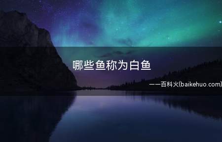 哪些鱼称为白鱼