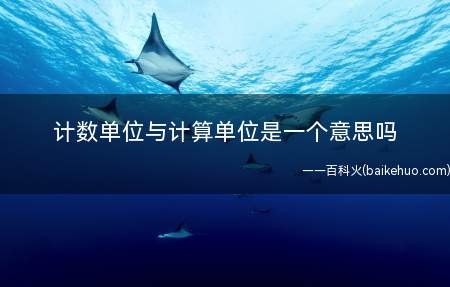 计数单位与计算单位是一个意思吗