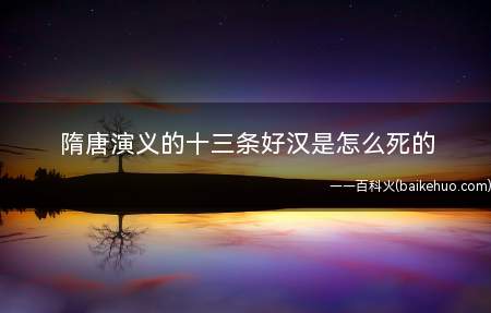 隋唐演义的十三条好汉是怎么死的