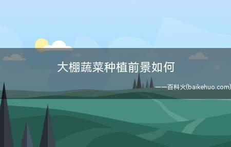 大棚蔬菜种植前景如何