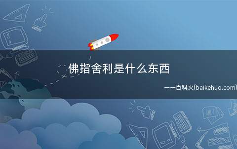 佛指舍利是什么东西
