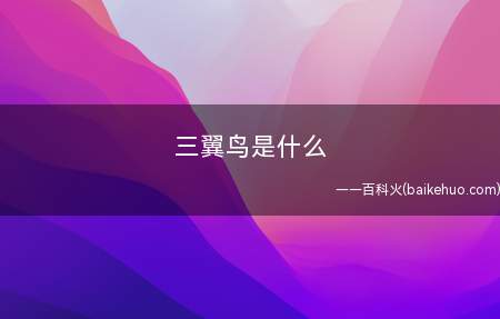 三翼鸟是什么